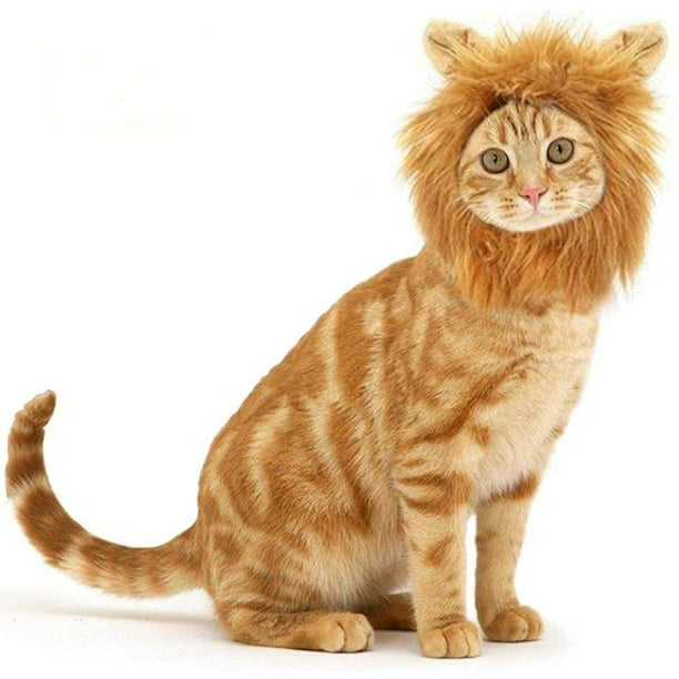 Details about   Adult Lion Mask Full Head Cover One Size Cosplay Costume